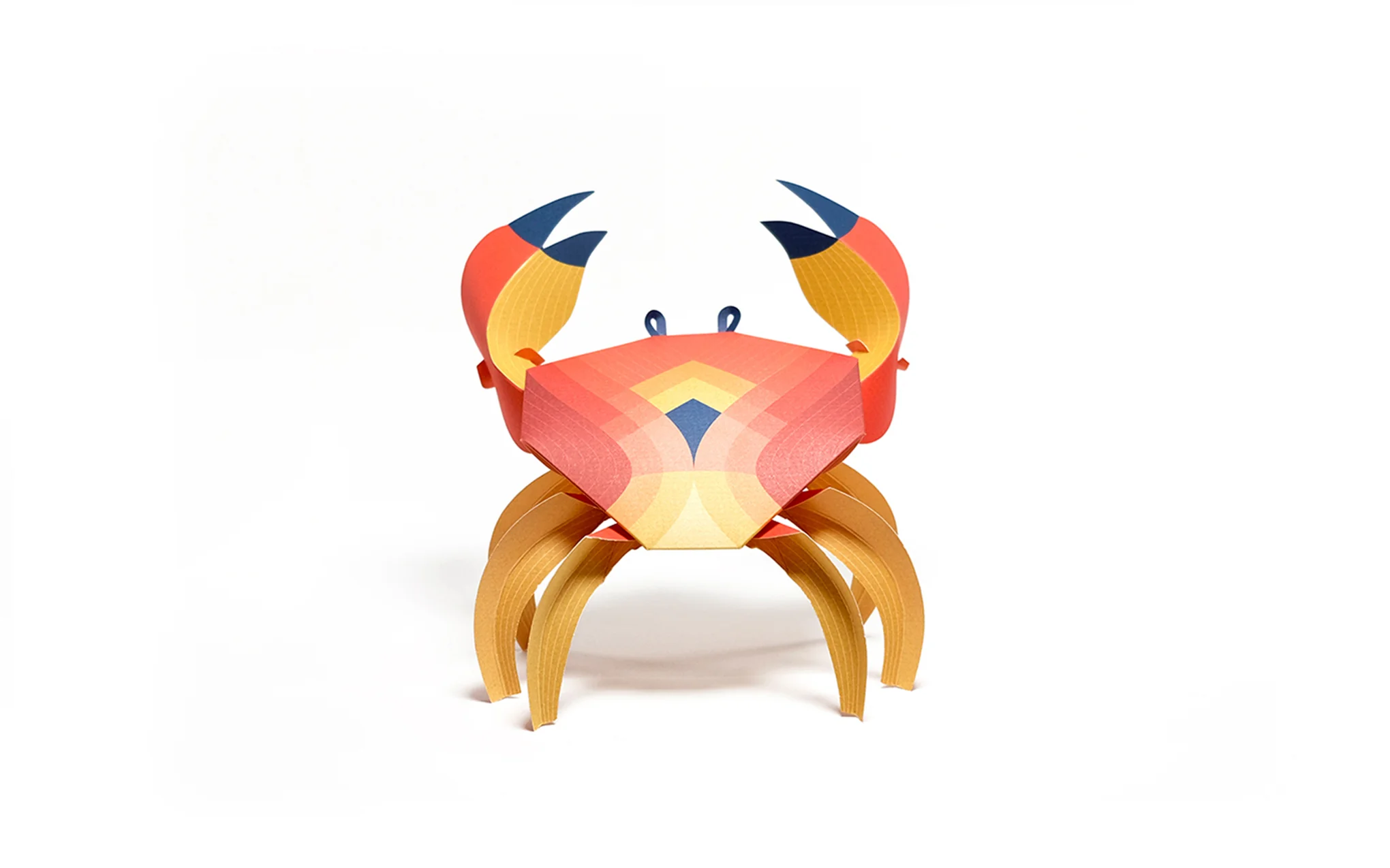 3D Paper Model - Cancridae (Crab) - Image 2