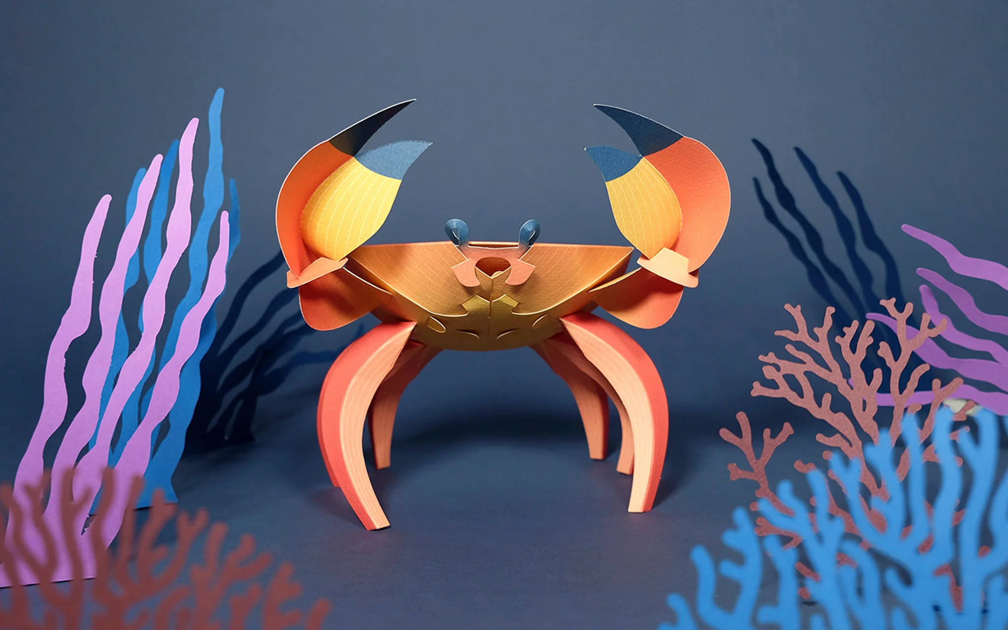3D Paper Model - Cancridae (Crab) - Image 3