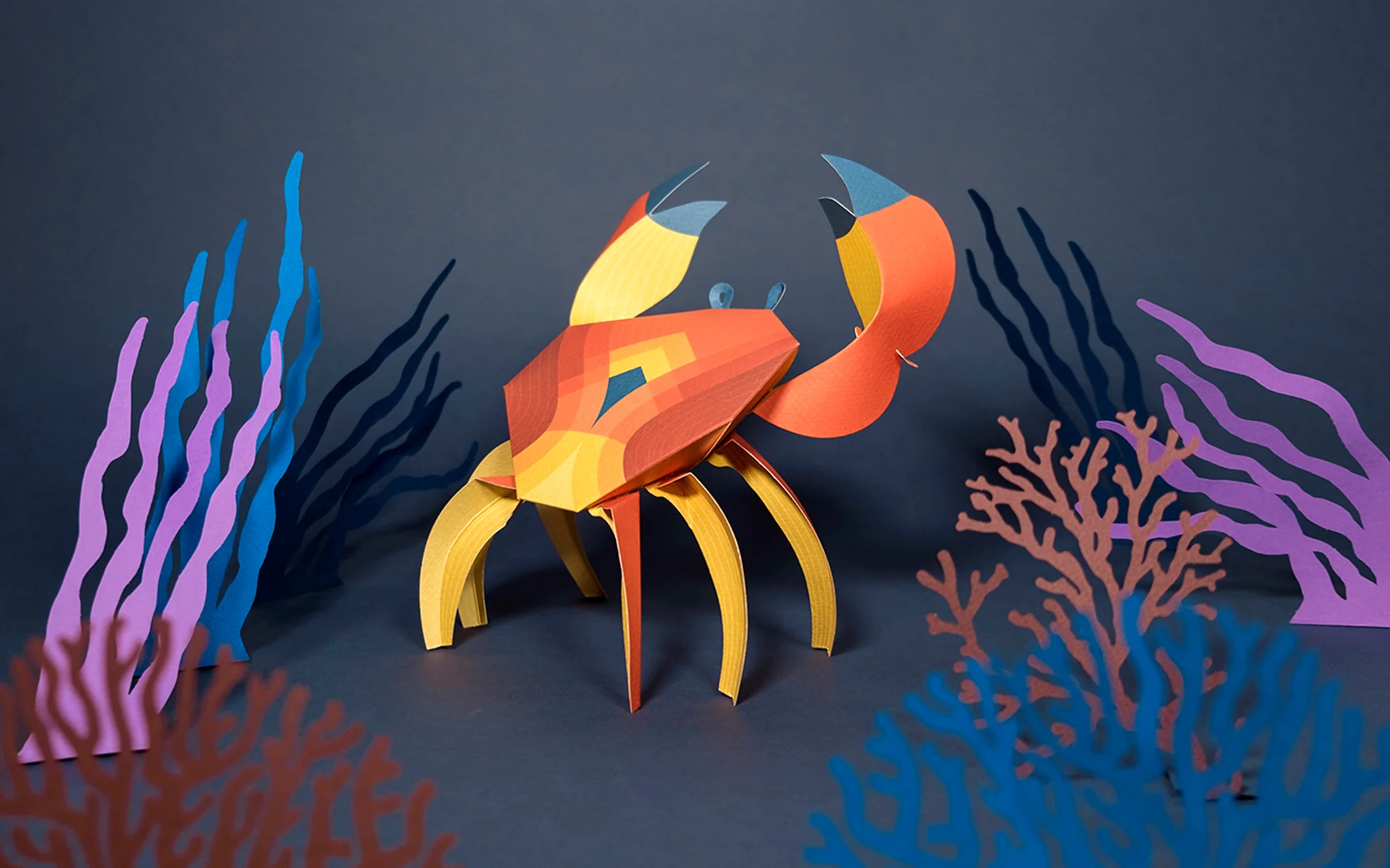 3D Paper Model - Cancridae (Crab) - Image 4