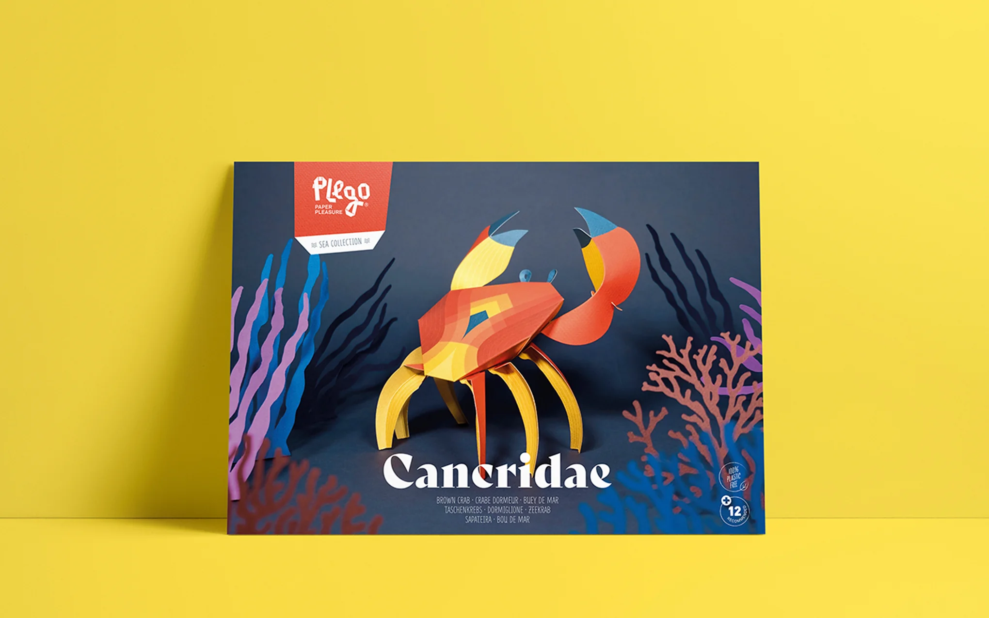 3D Paper Model - Cancridae (Crab) - Image 7