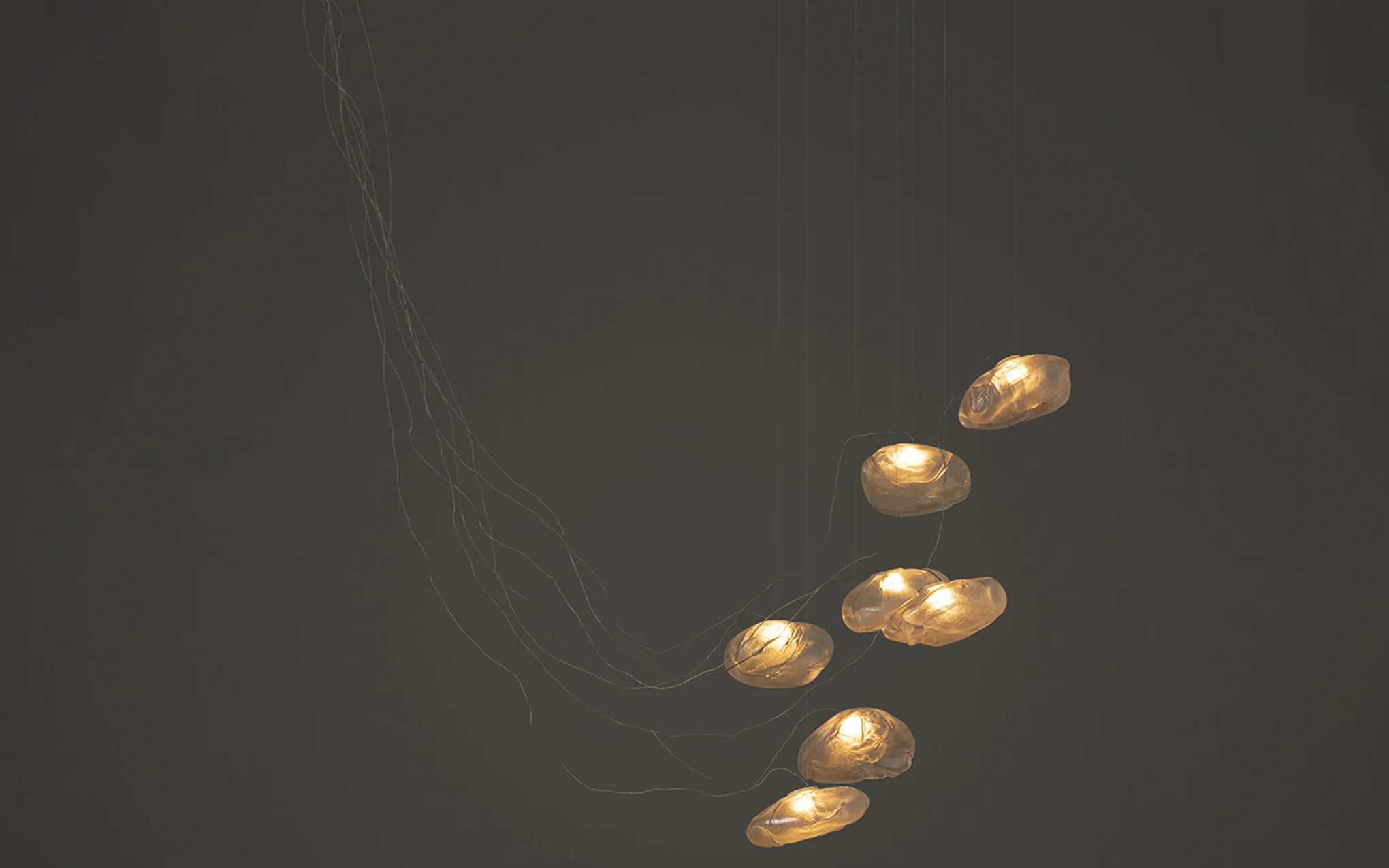 73 Random chandelier - sculptural cable - Image 6