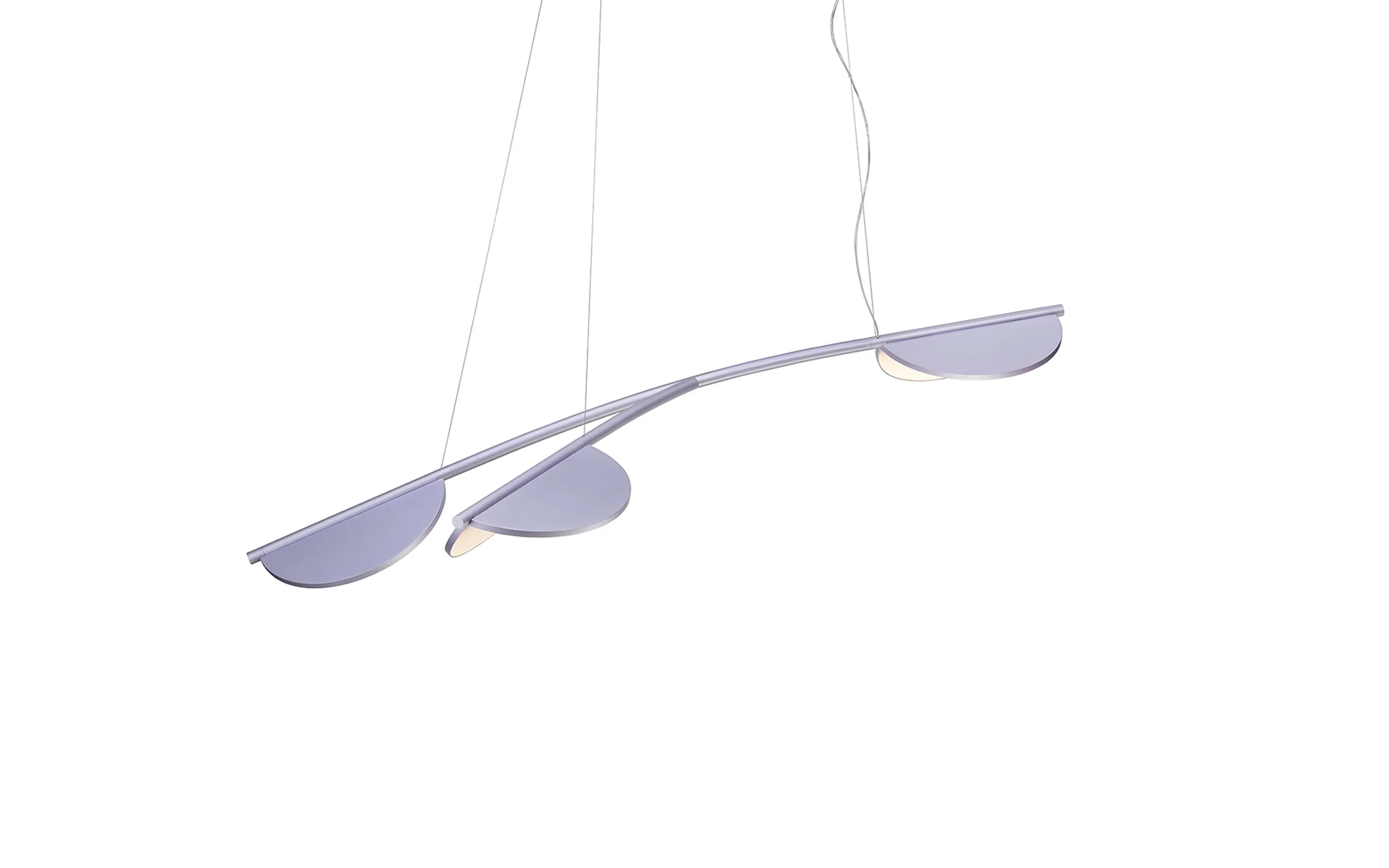 Almendra Organic - Image 11