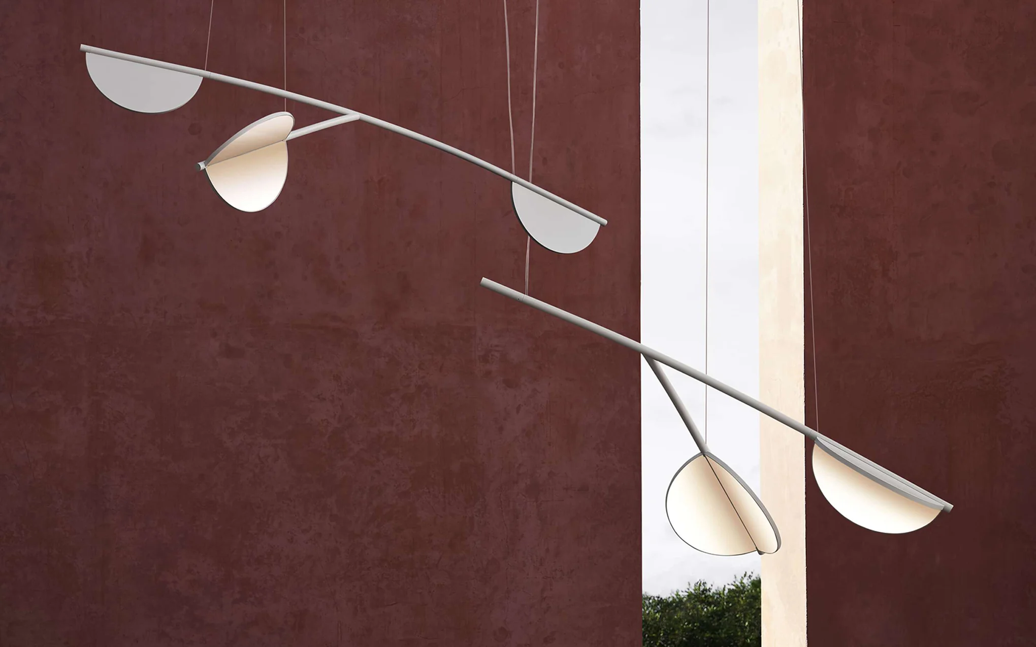 Almendra Organic - Image 12