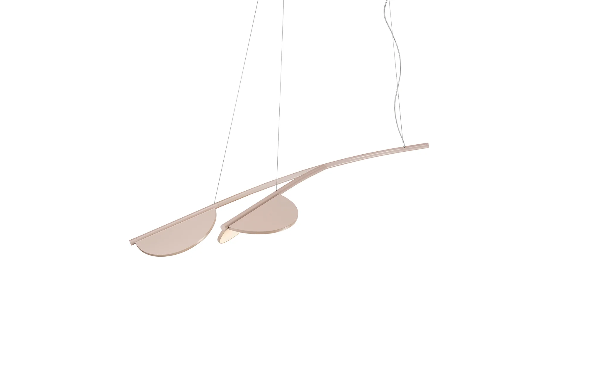 Almendra Organic - Image 3