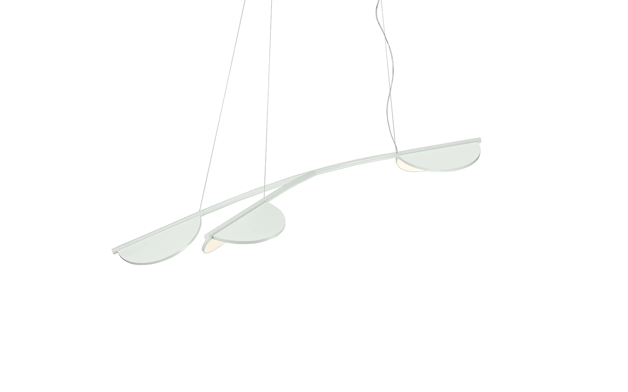 Almendra Organic - Image 5