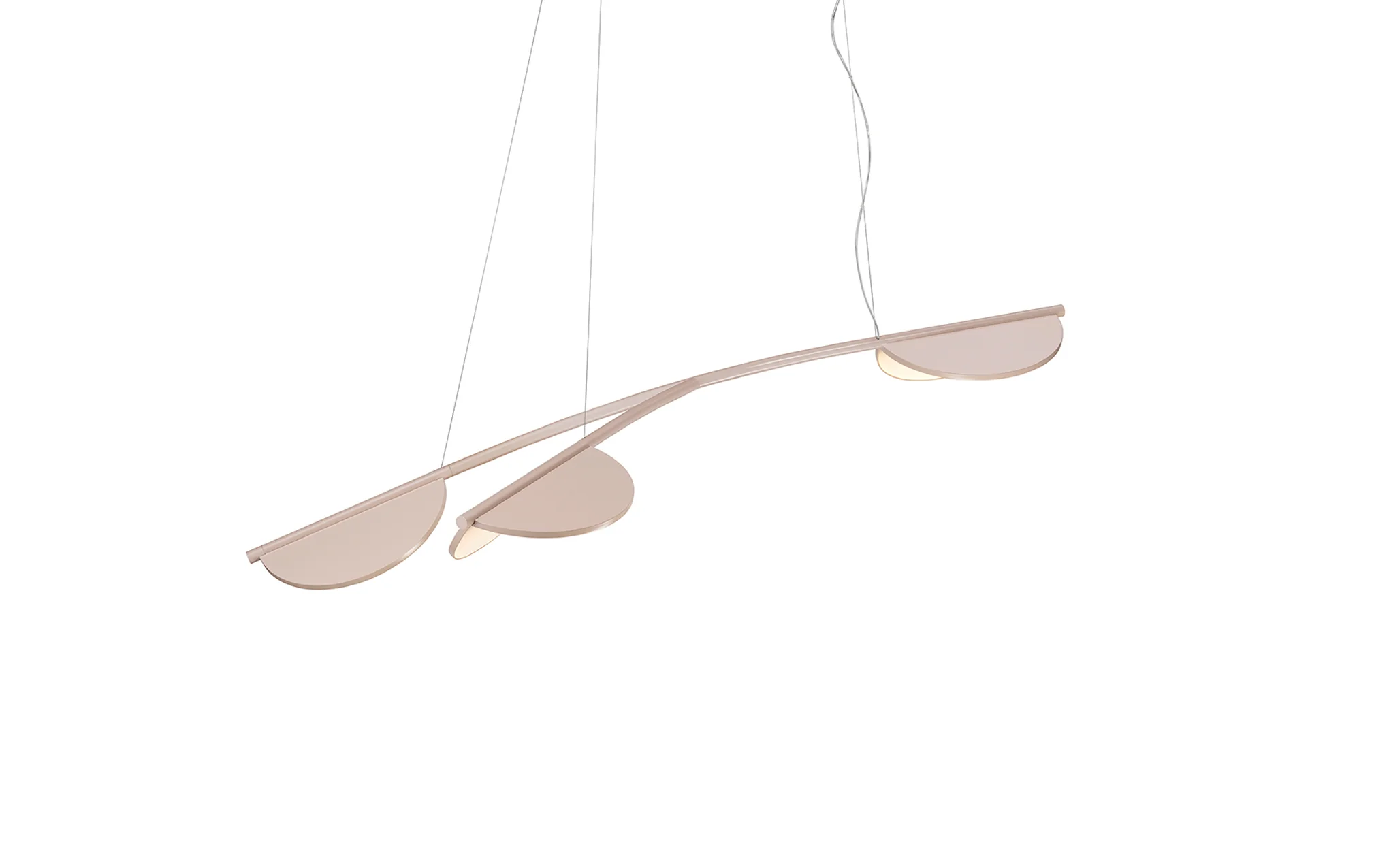 Almendra Organic - Image 8