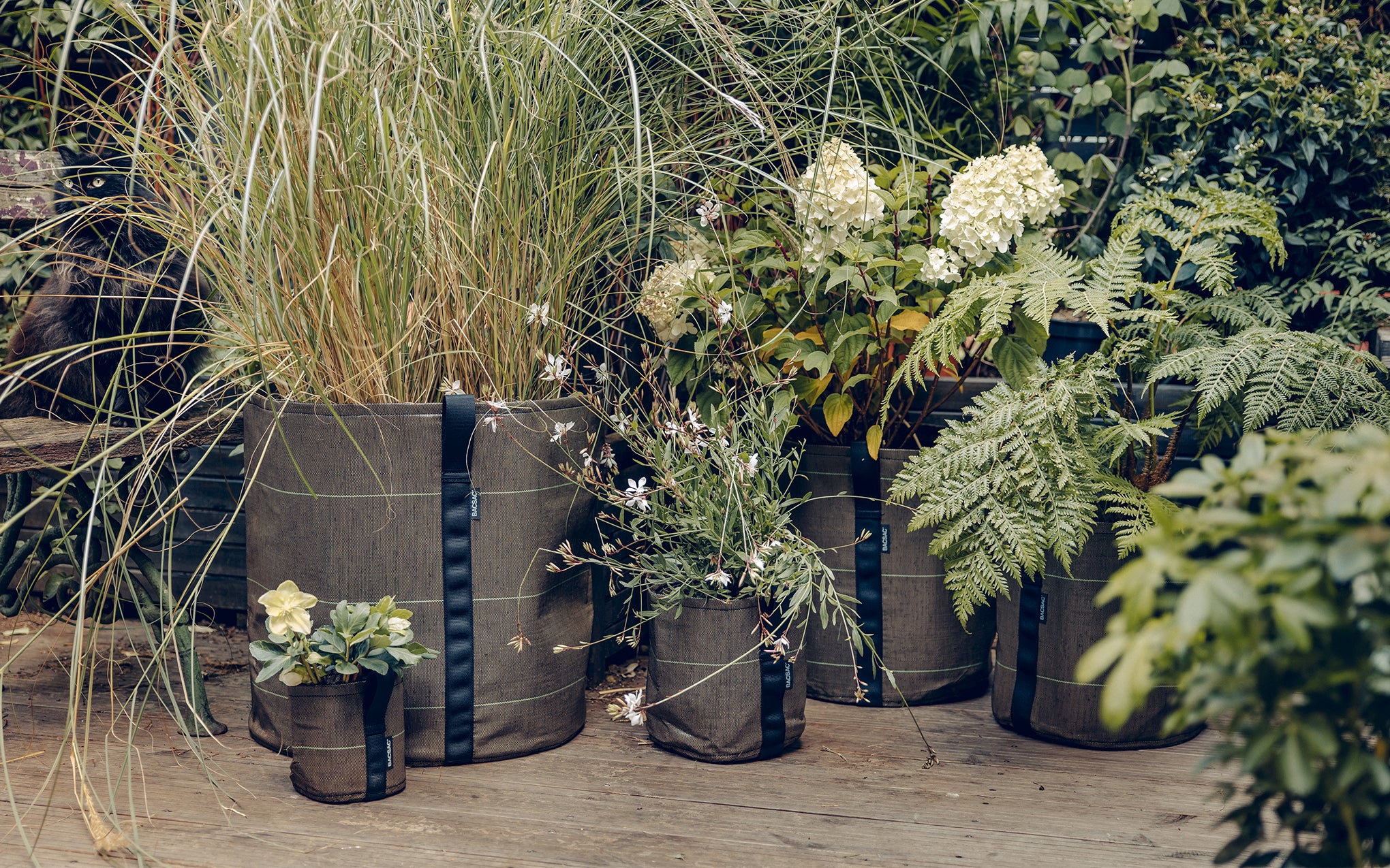 BACSAC classic pot - Image 6