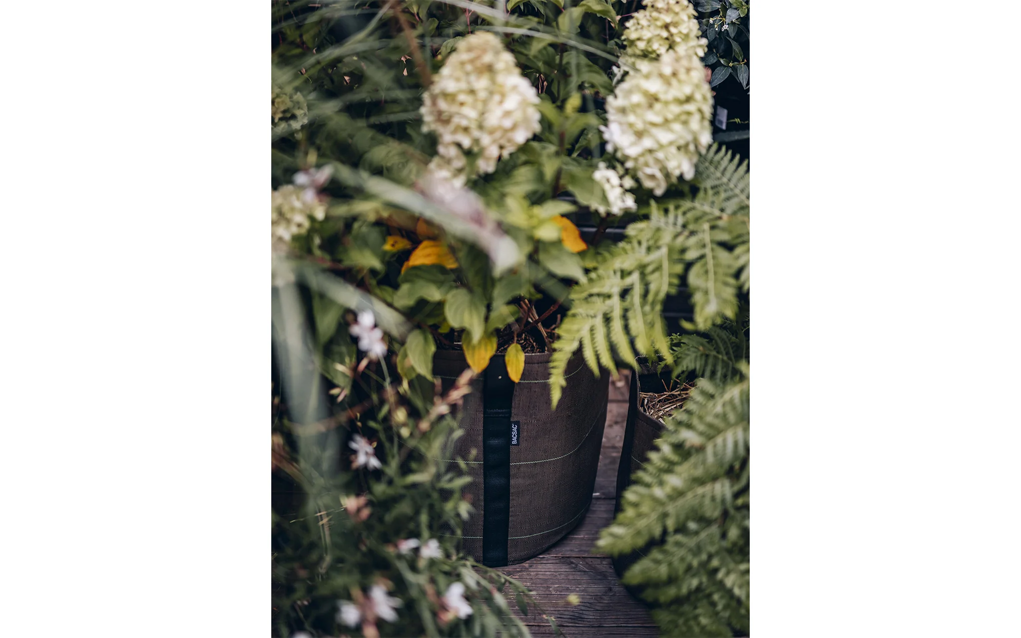 BACSAC classic pot - Image 7