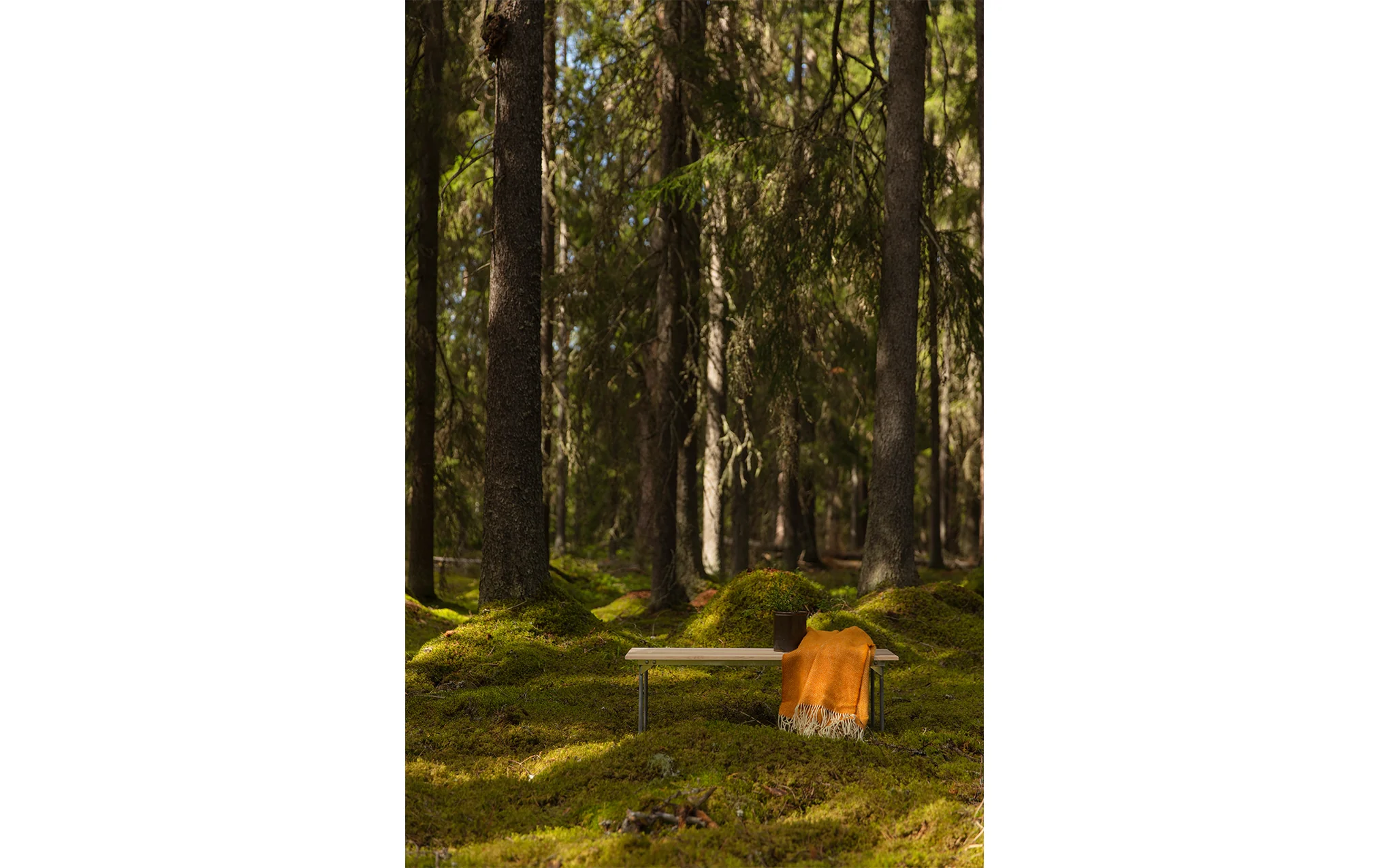 Bench 8 - Image 13