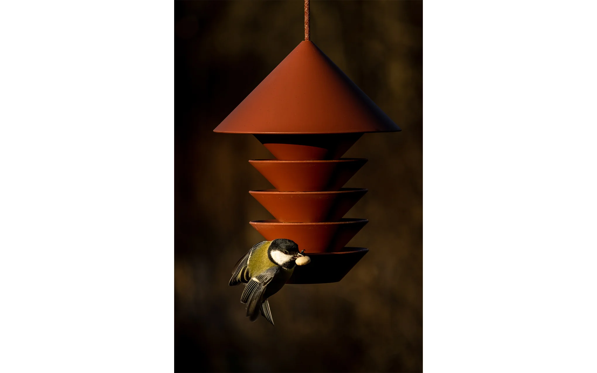 Bird Silo - Image 11