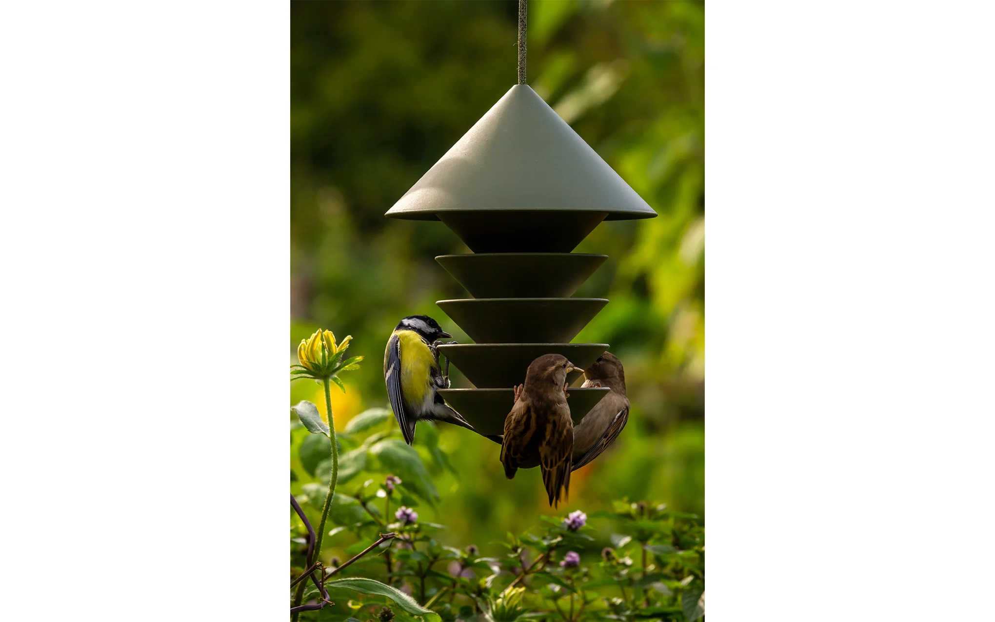 Bird Silo - Image 4