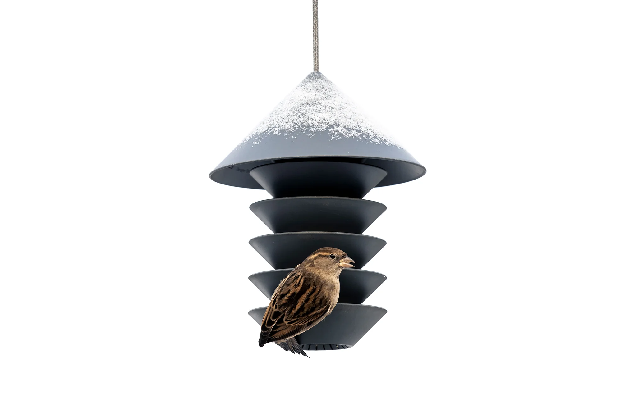 Bird Silo - Image 6