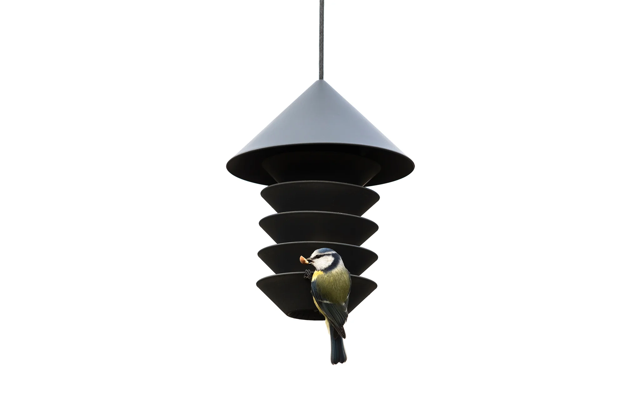 Bird Silo - Image 7