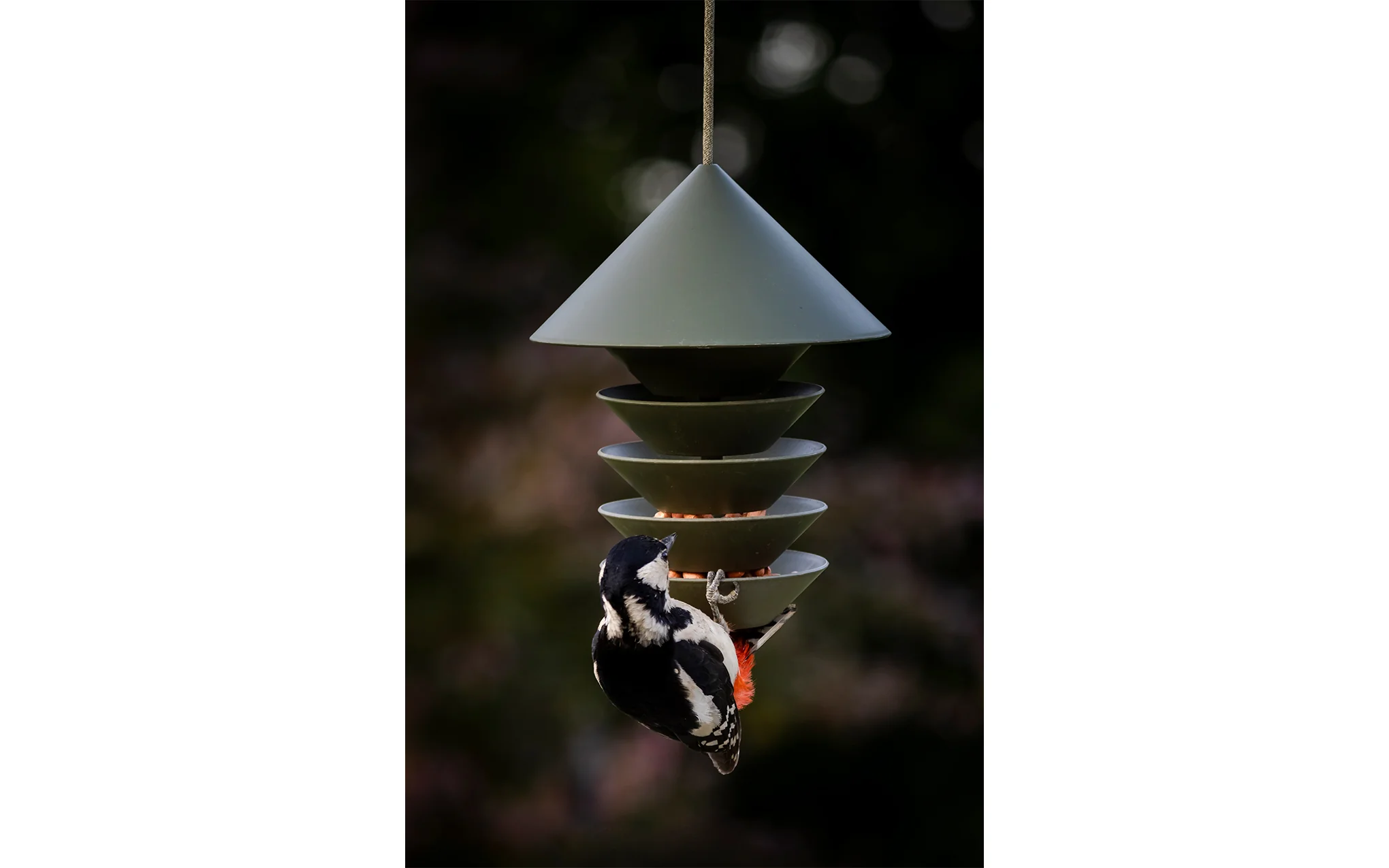 Bird Silo - Image 8