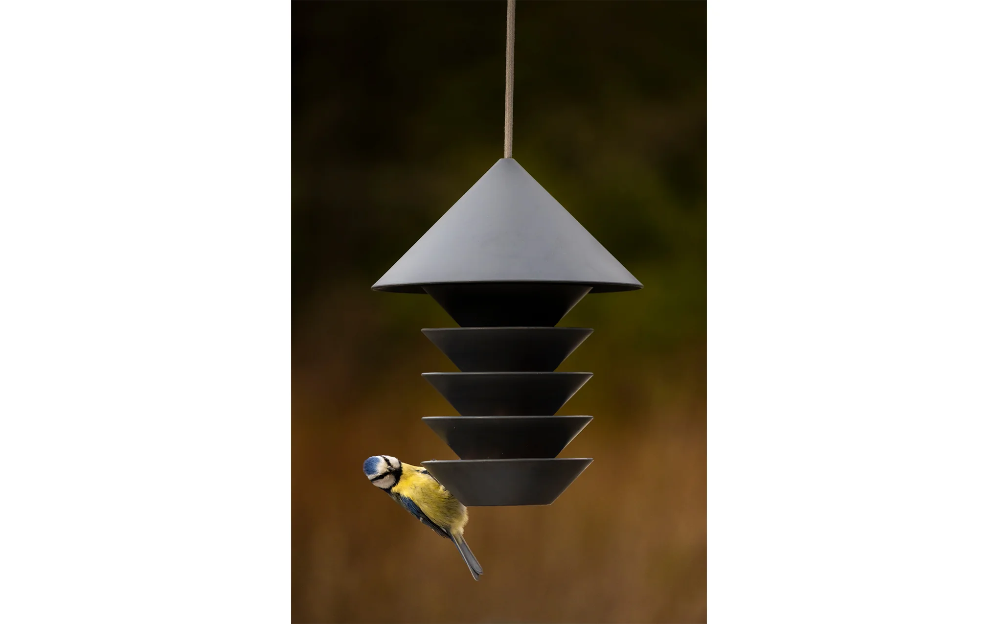 Bird Silo - Image 9