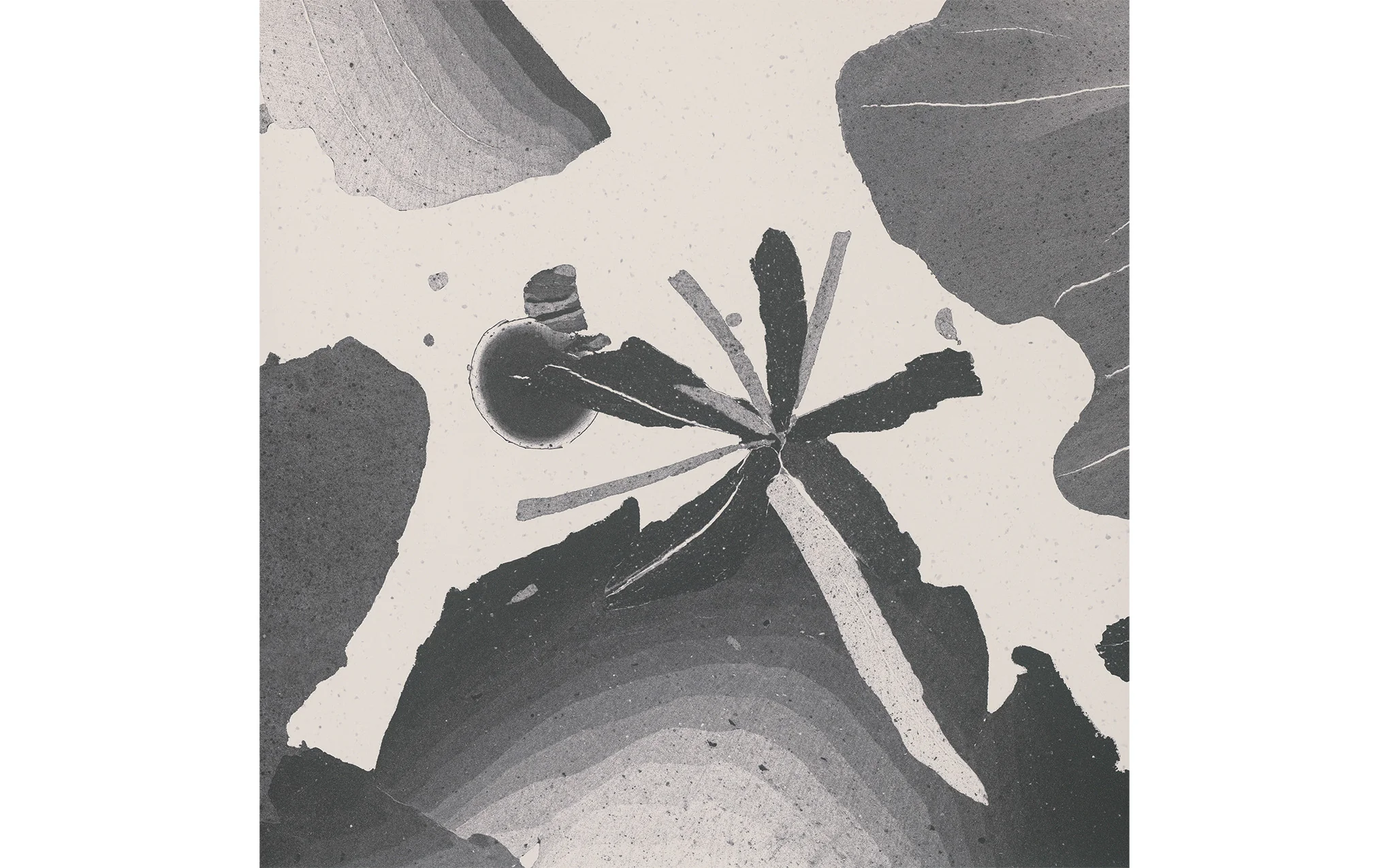 Botanica wallpaper - Image 4