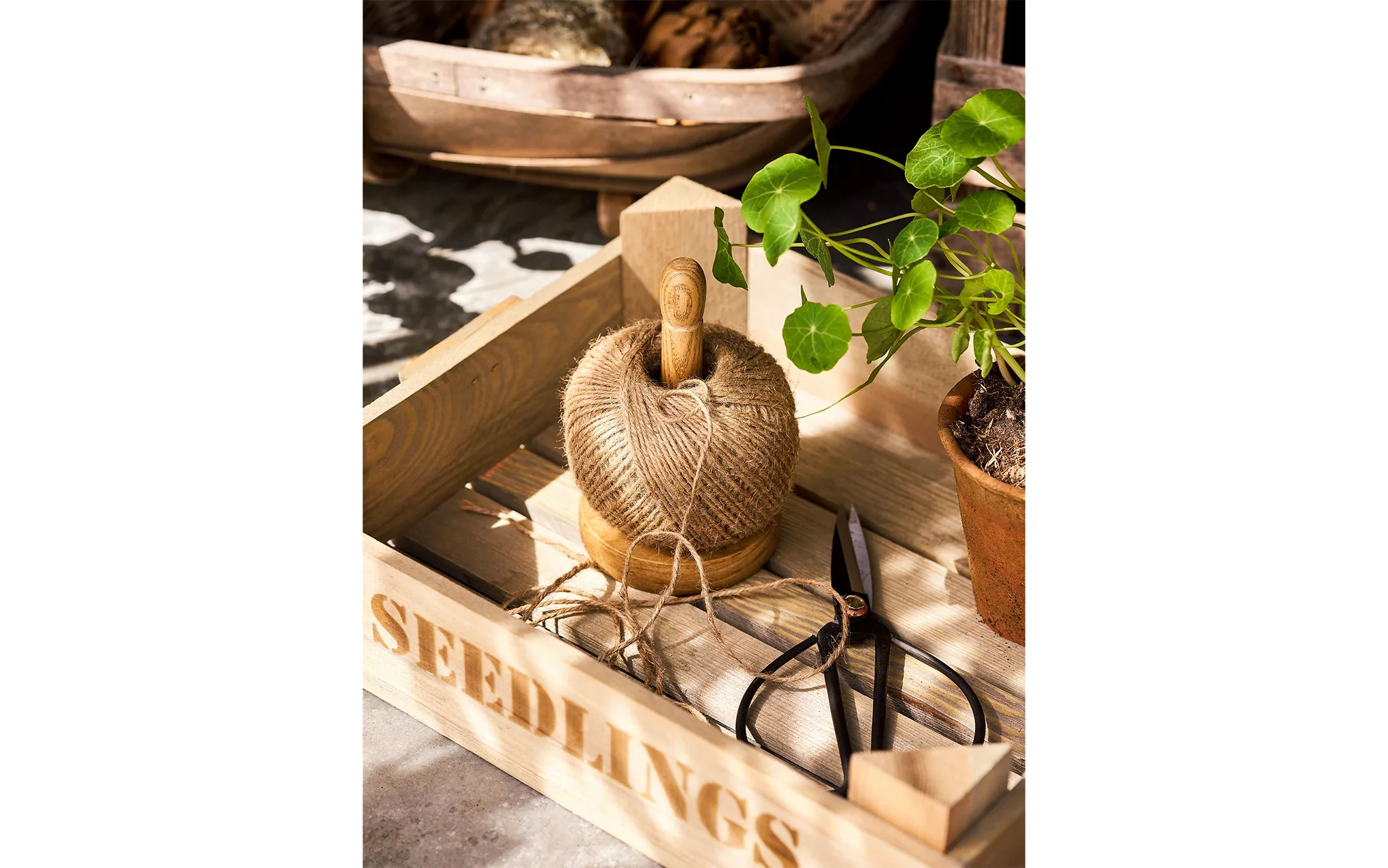Classic string & string holder set - Image 3
