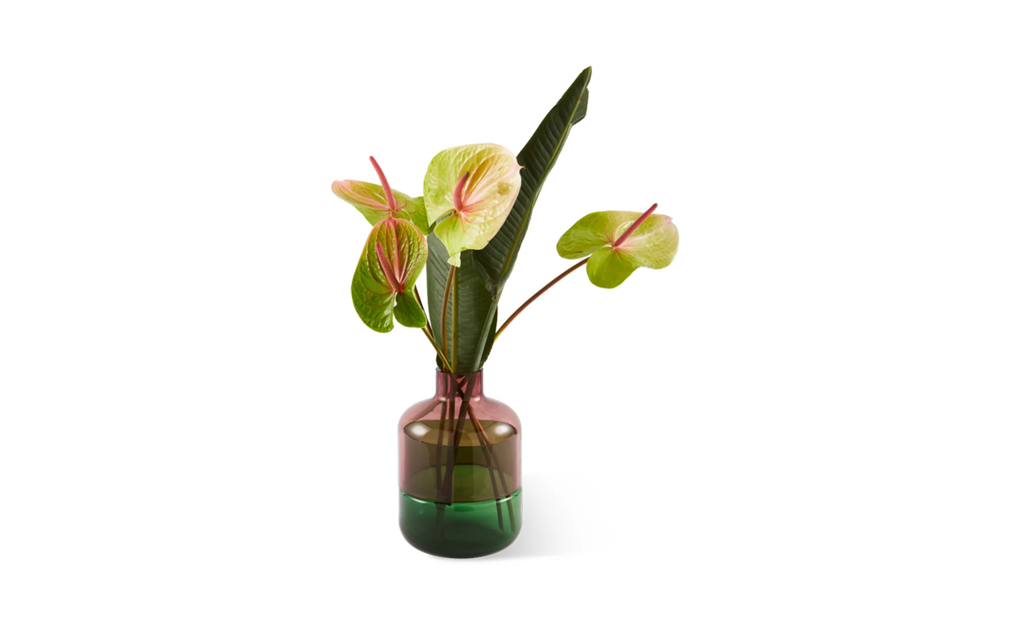 Formy vase - small - Image 2