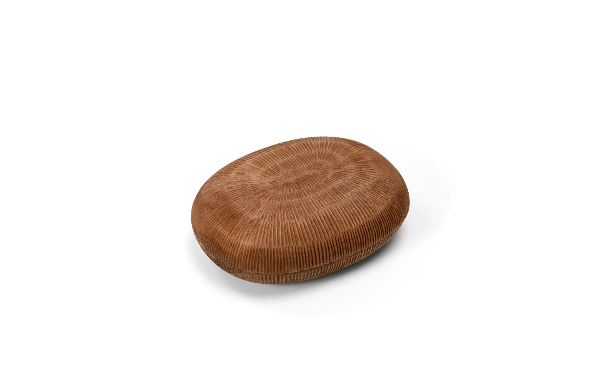 Genkan storage box