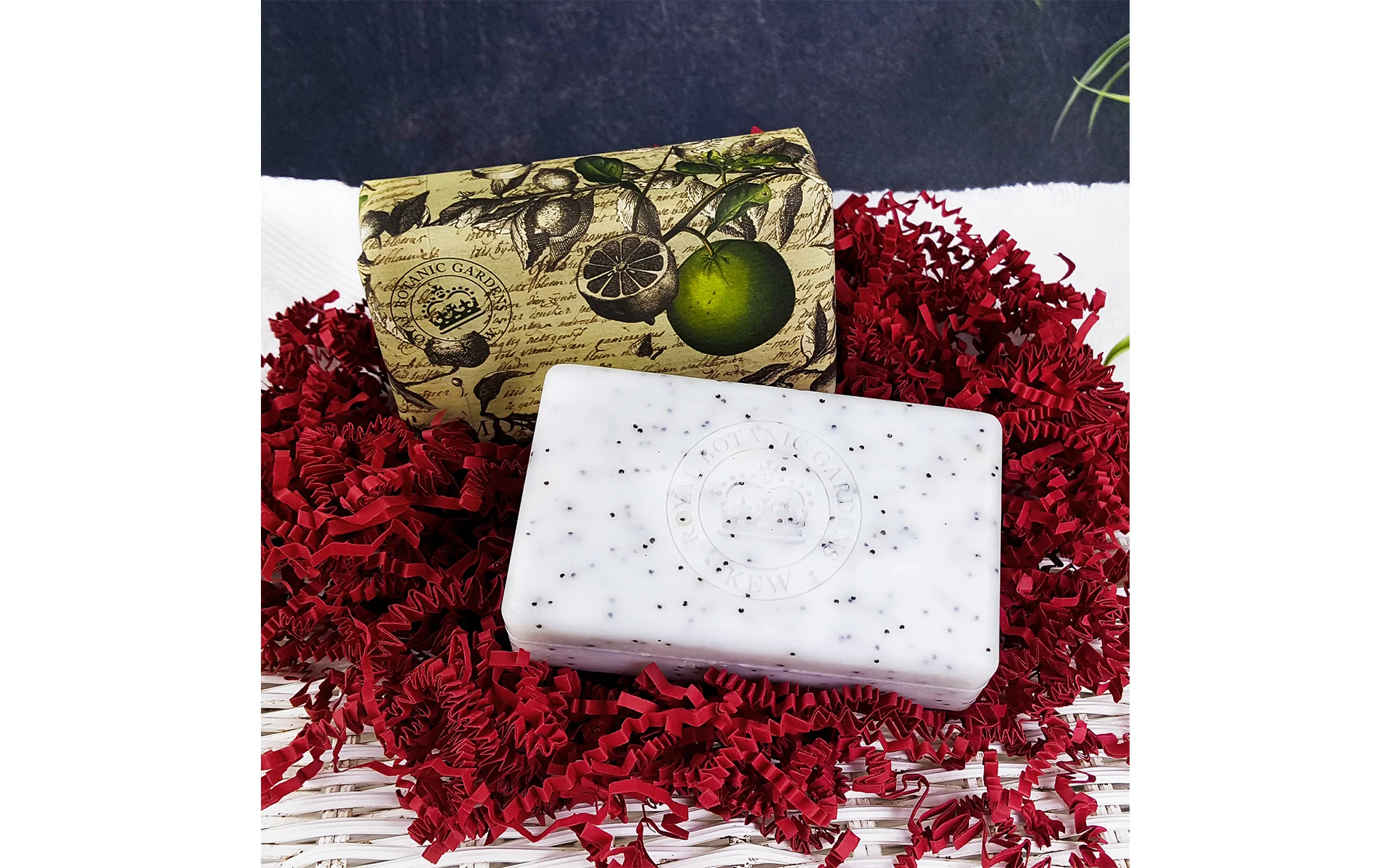 Kew Garden soap bar - lemongrass & lime - Image 4