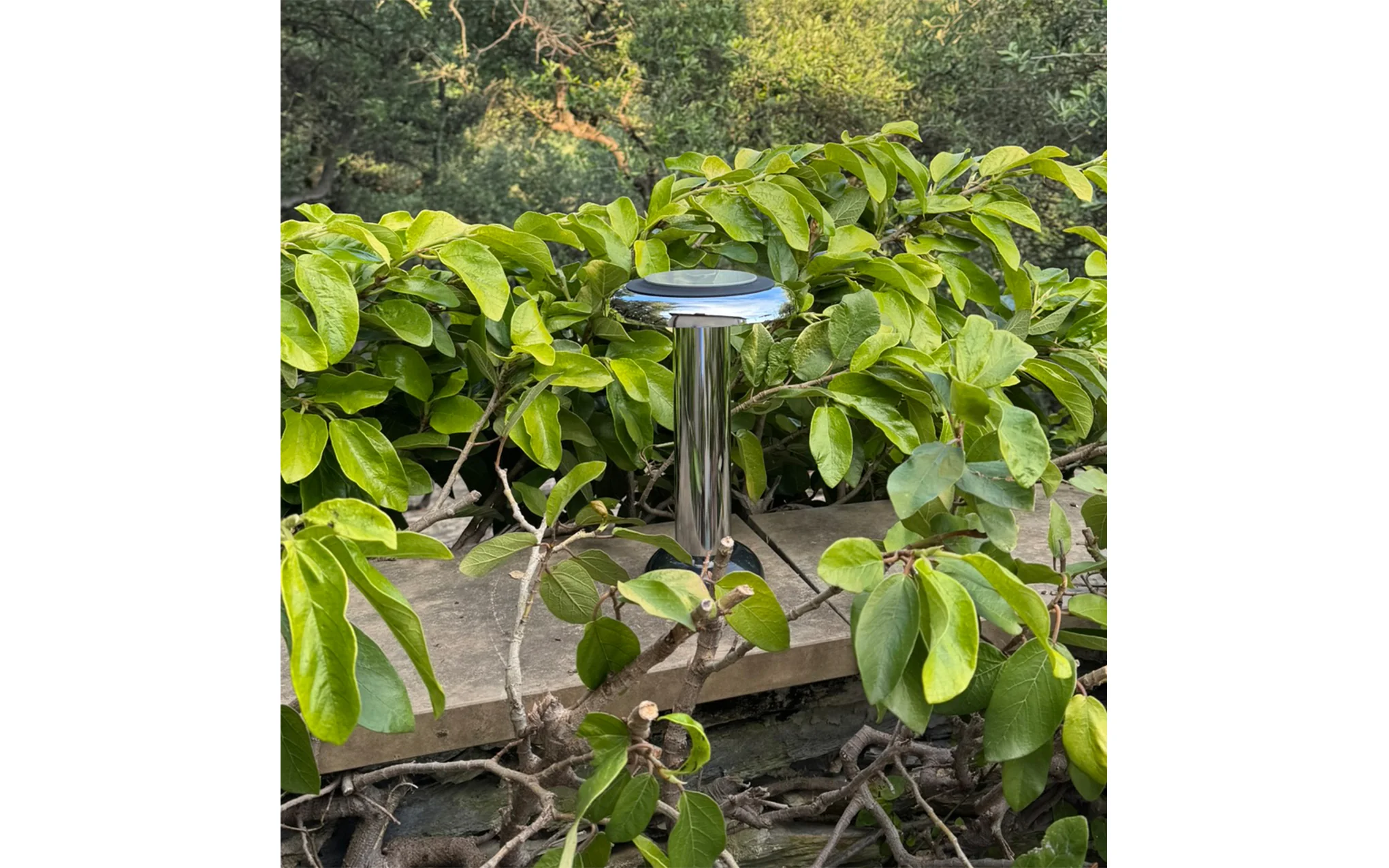 Lamp PL6 - dual functionality - Image 8