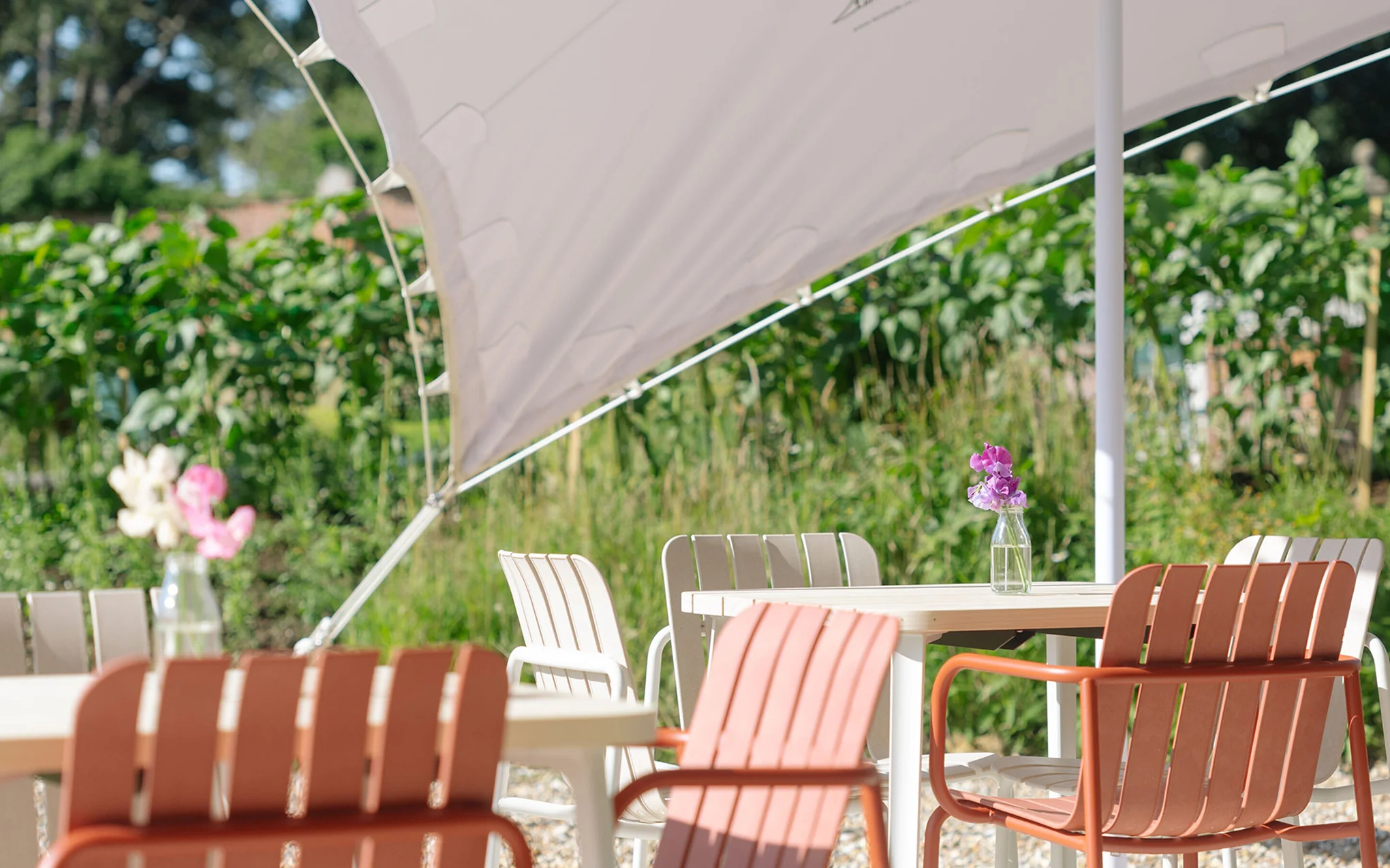 Latte armchair - Image 5