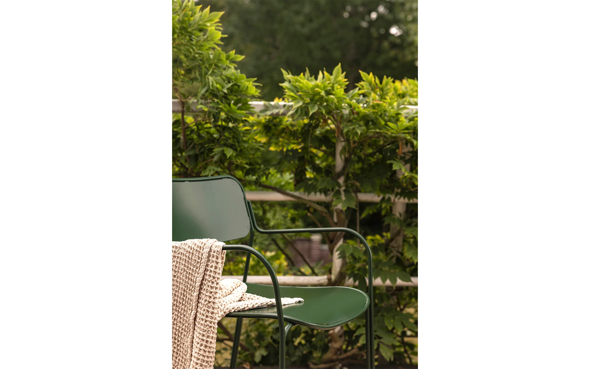 Libelle chair - Image 12