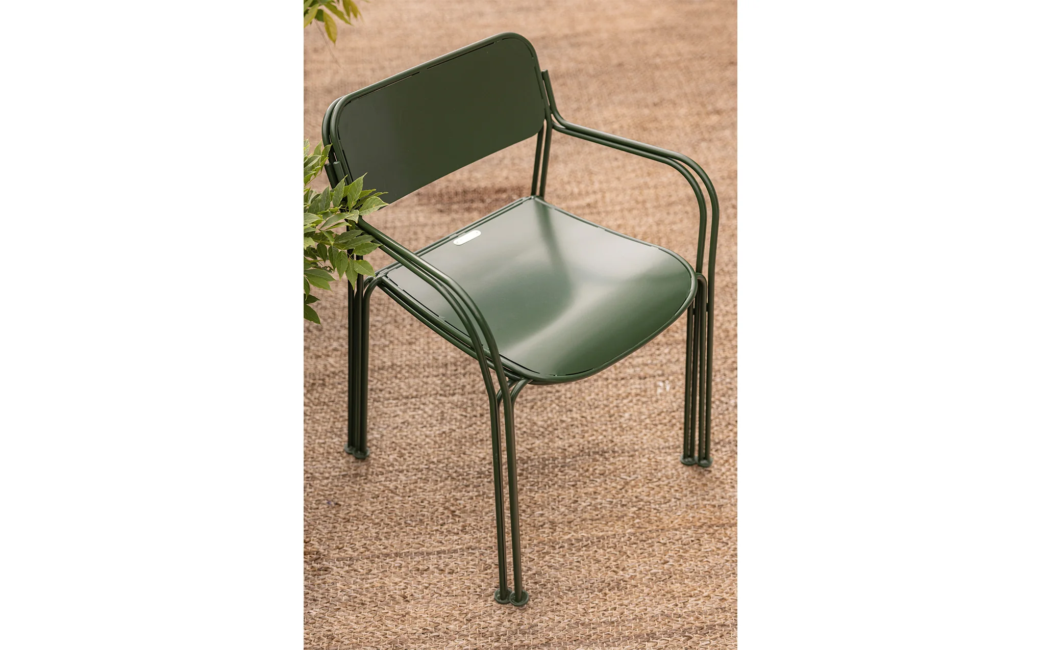 Libelle chair - Image 13