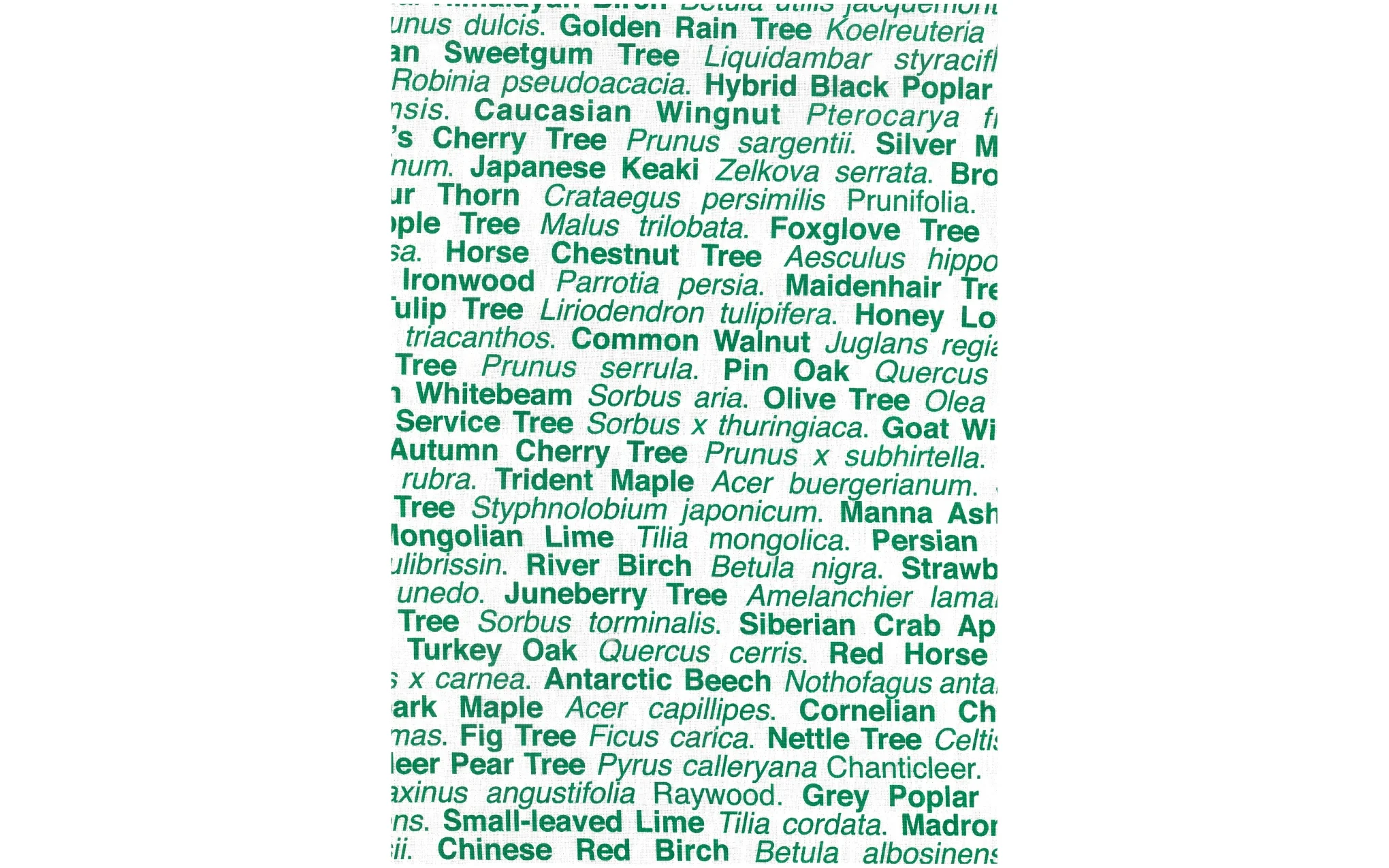 London Trees tea towel - green - Image 2