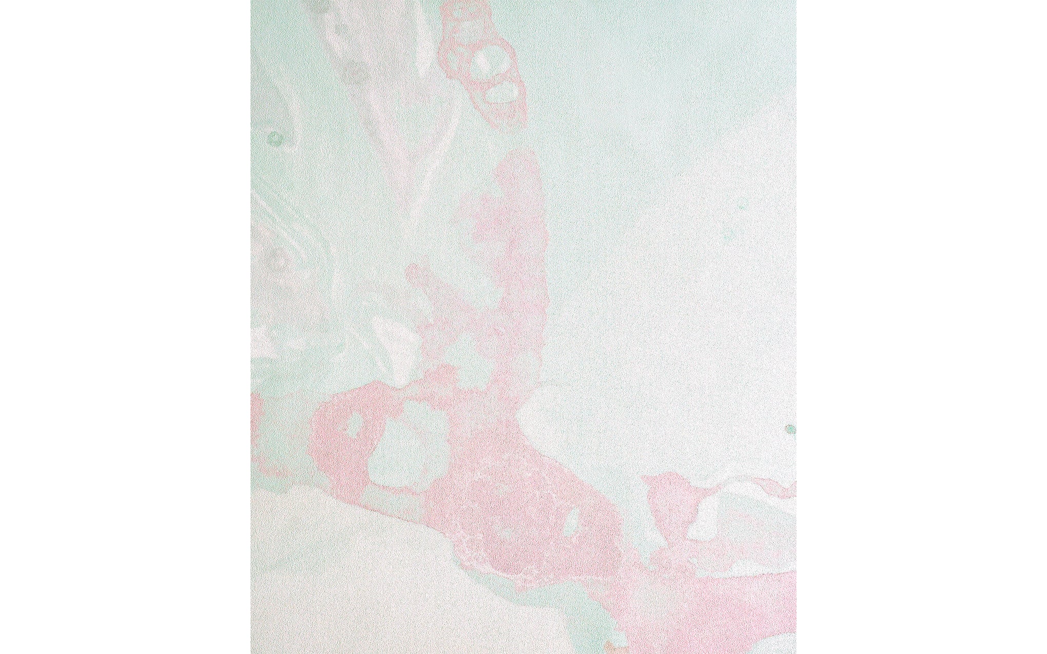 Microcosmos wallpaper - Image 6