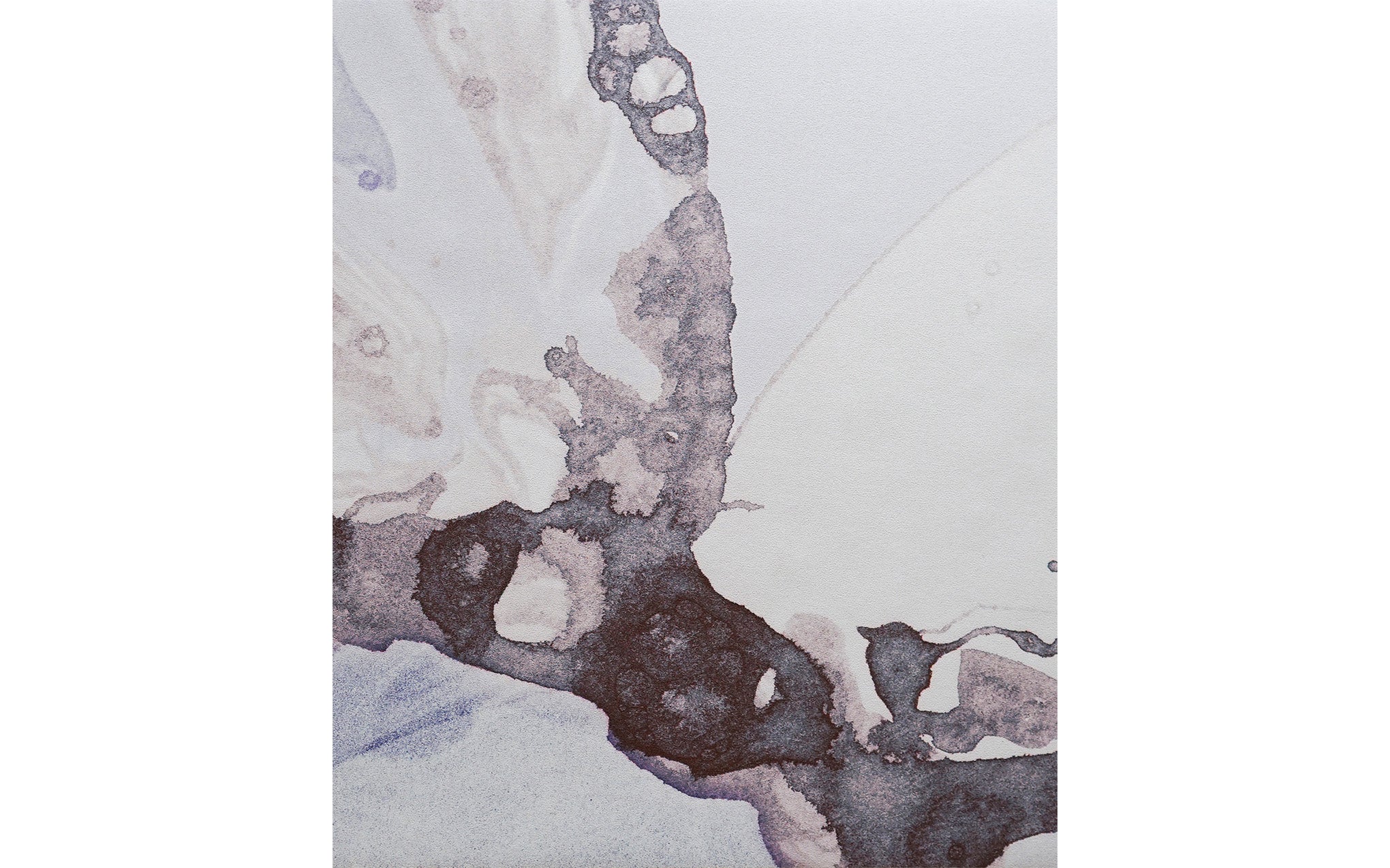 Microcosmos wallpaper - Image 8