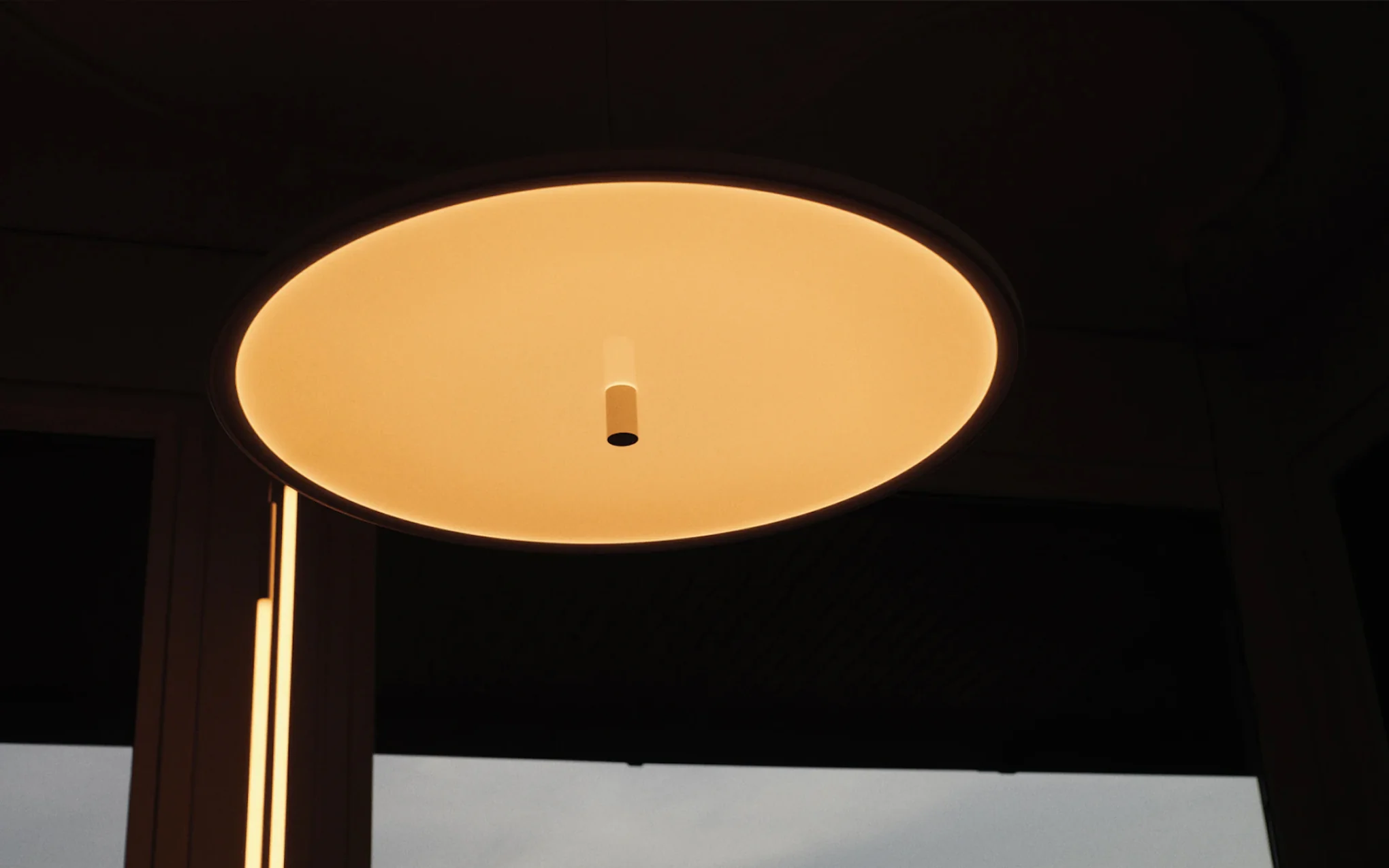 My Disc suspension - Image 4