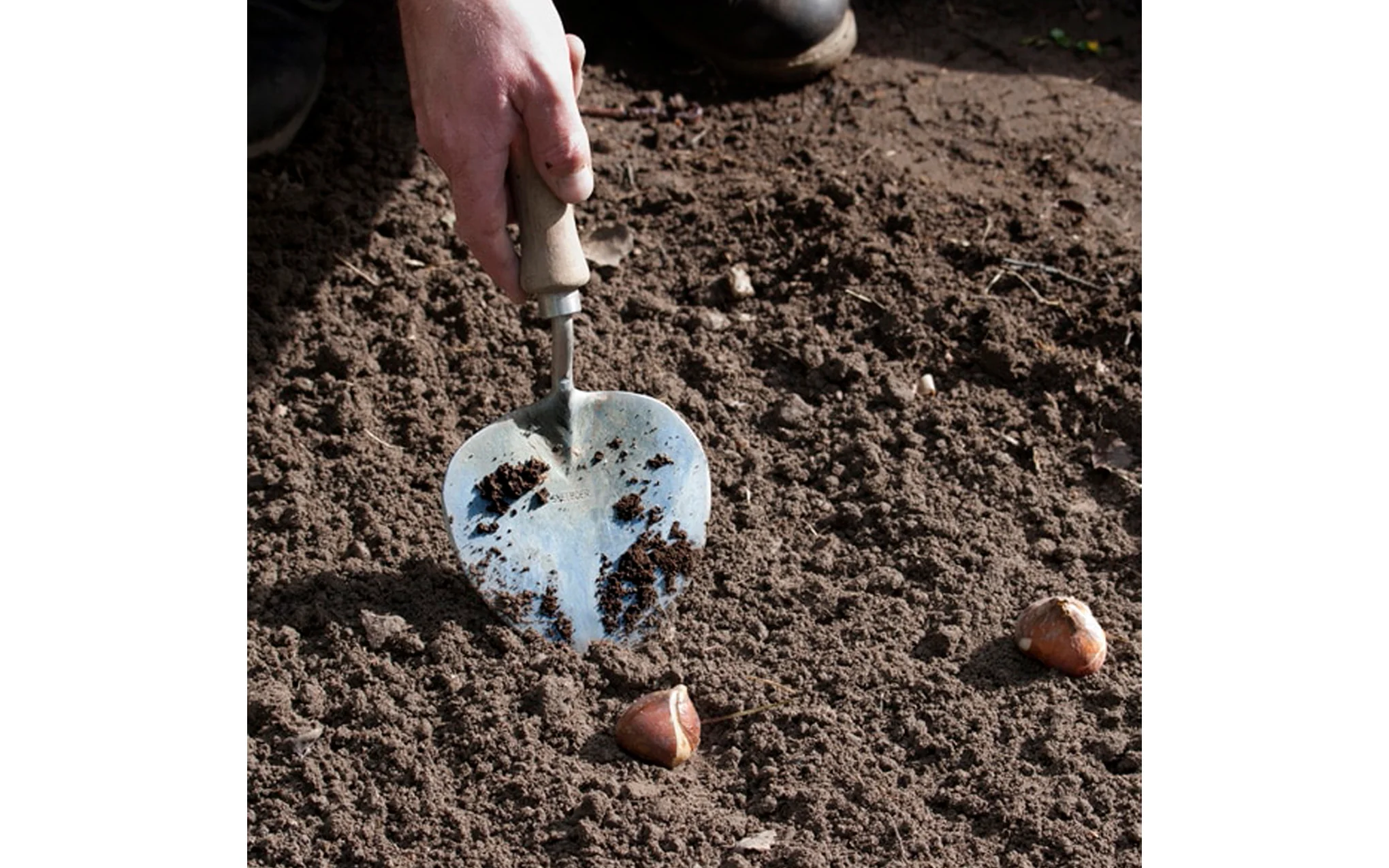 Old Dutch Style Planting trowel - Image 4