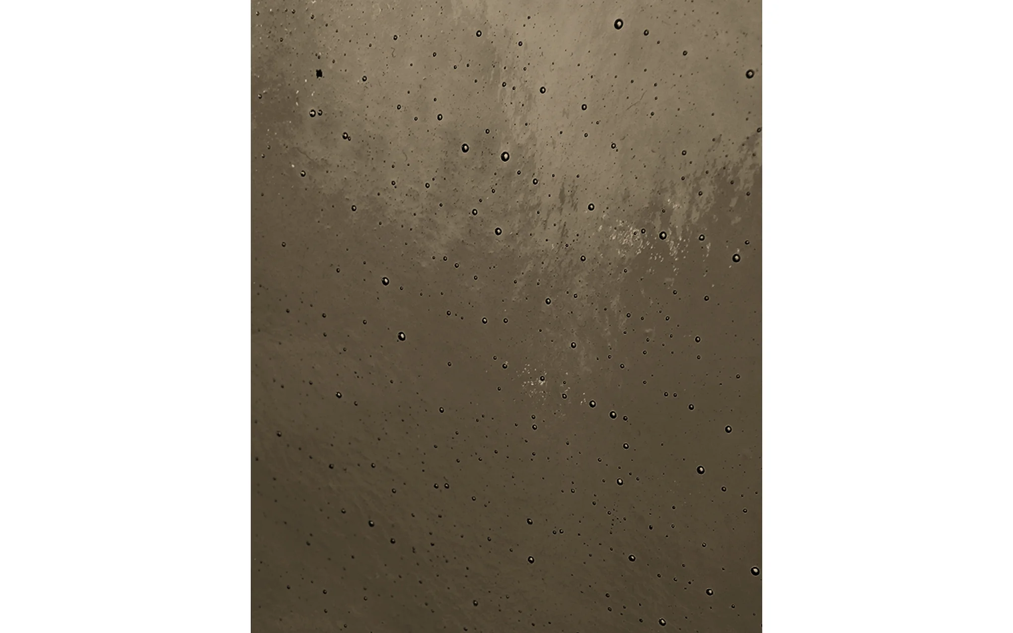 Palm single sconce - Image 8