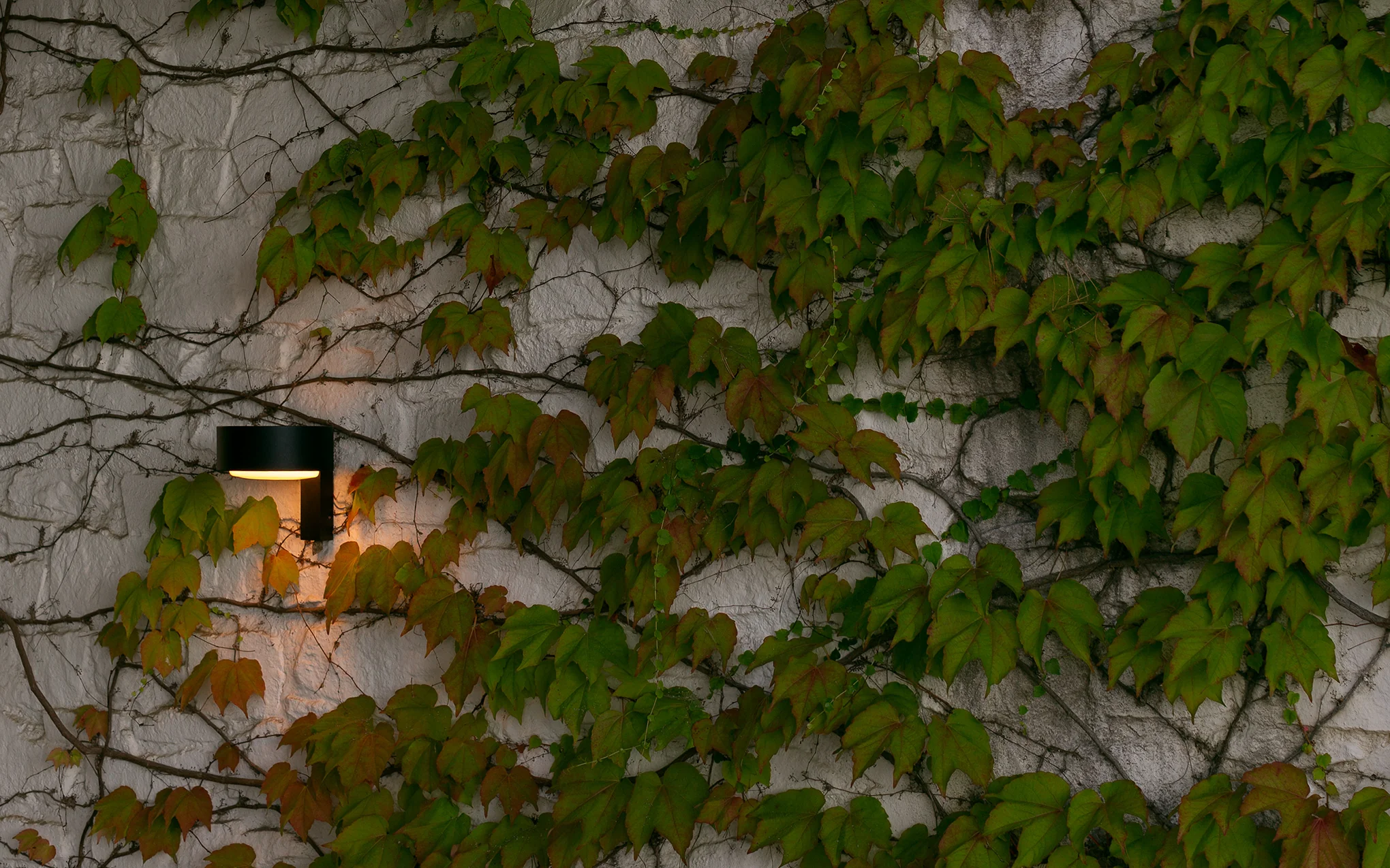 Plaff-on! A wall light - Image 2