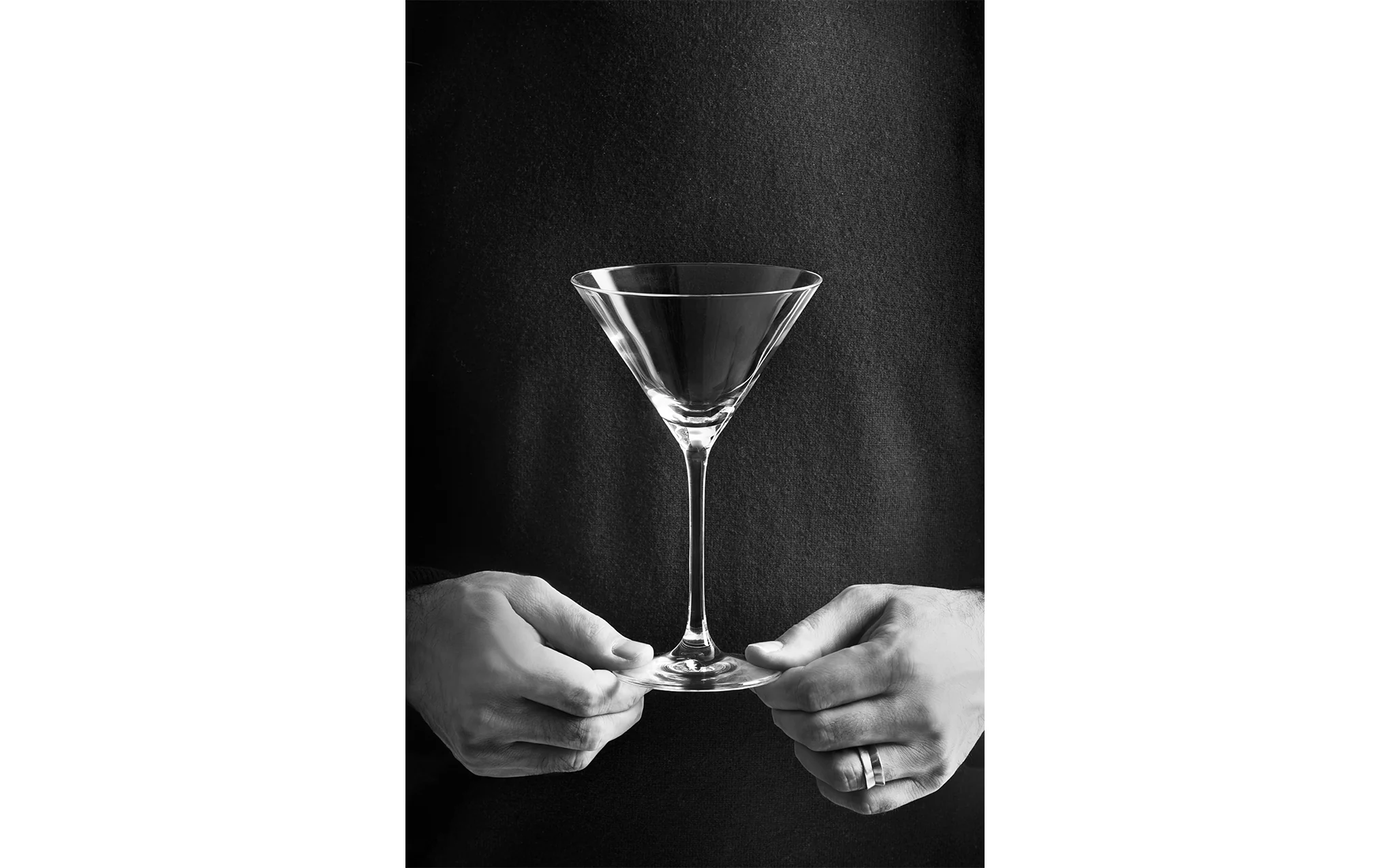 Sonoma martini glass - Image 2