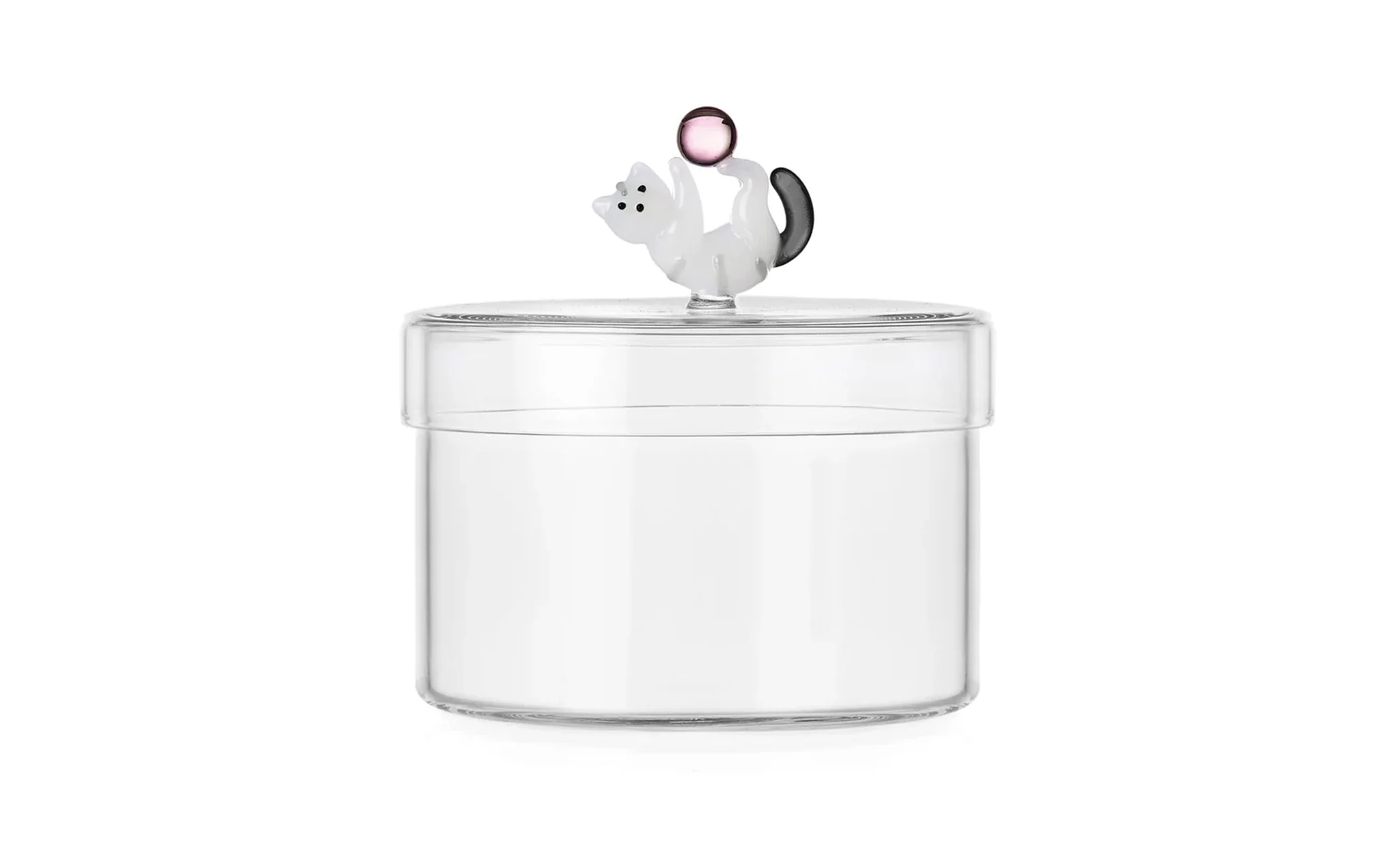 Tabby cat container