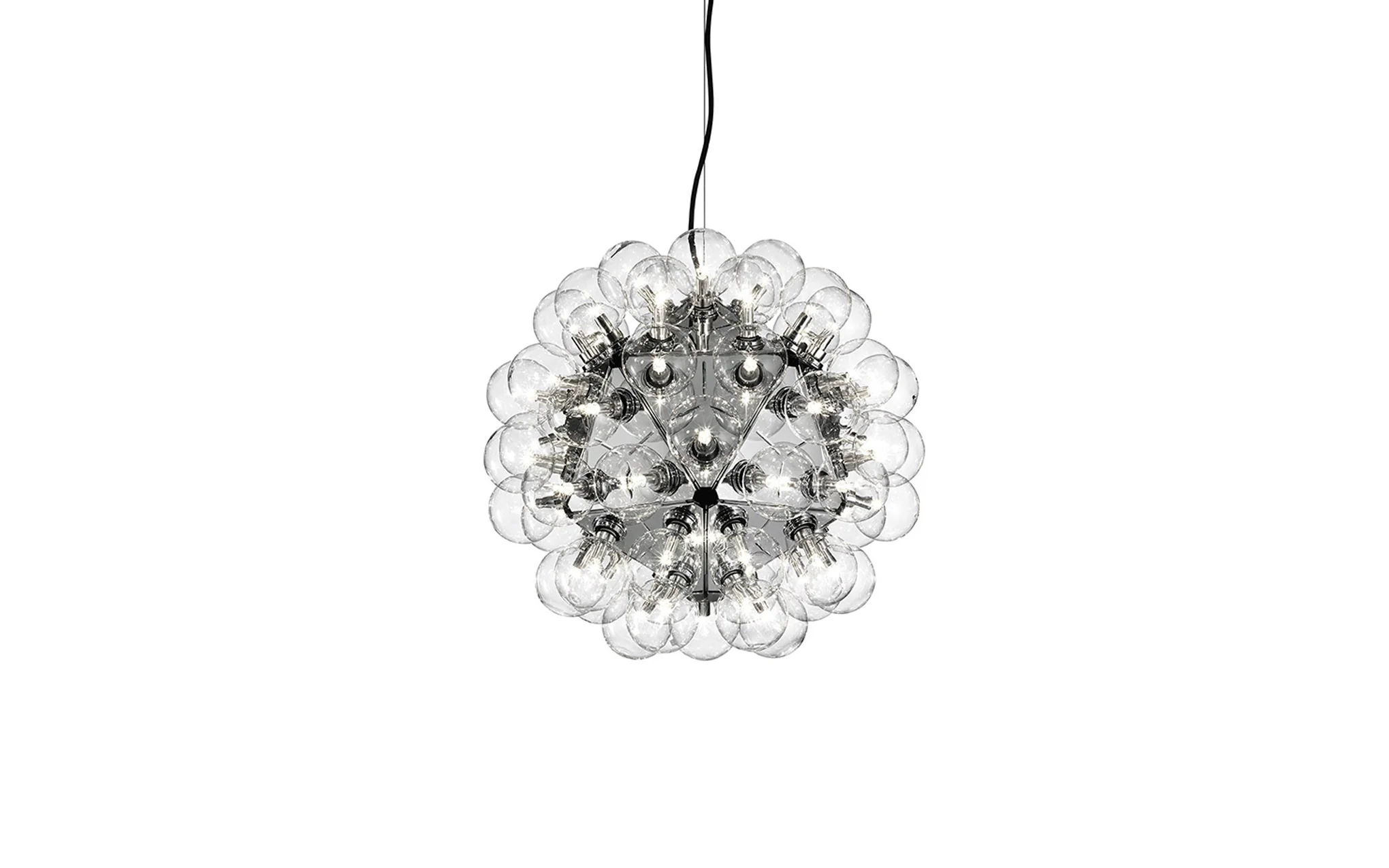 Taraxacum 88 suspension - Image 2