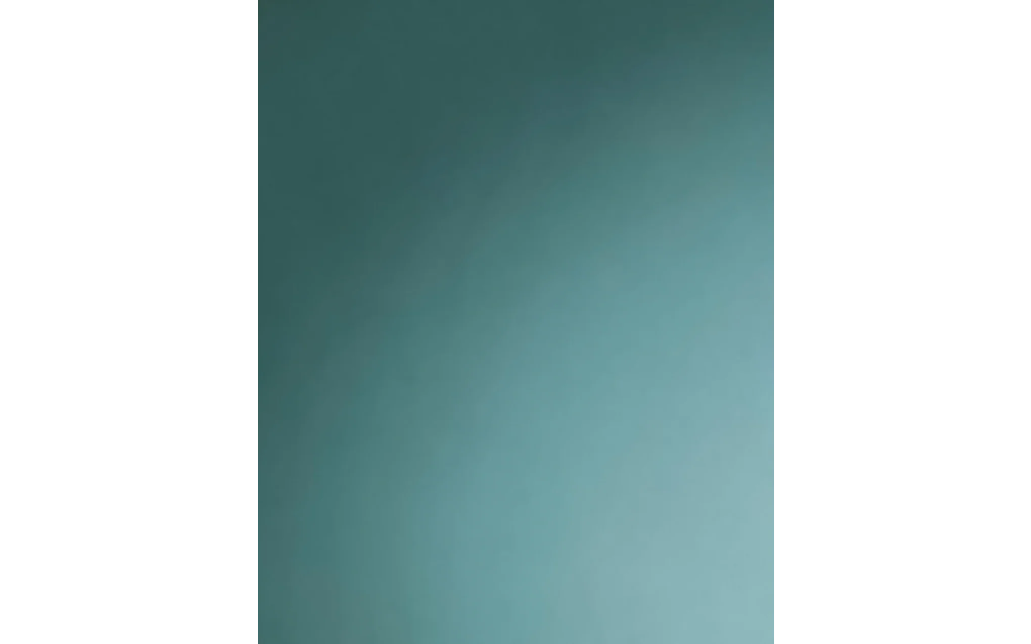 Trophy double pendant - Image 4